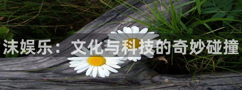 万向娱乐app
