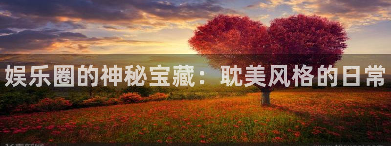 万向娱乐：娱乐圈的神秘宝藏：耽美风格的日常